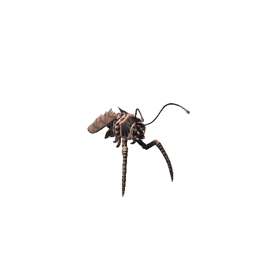 basemesh_FlyingShrimpMonster Dark